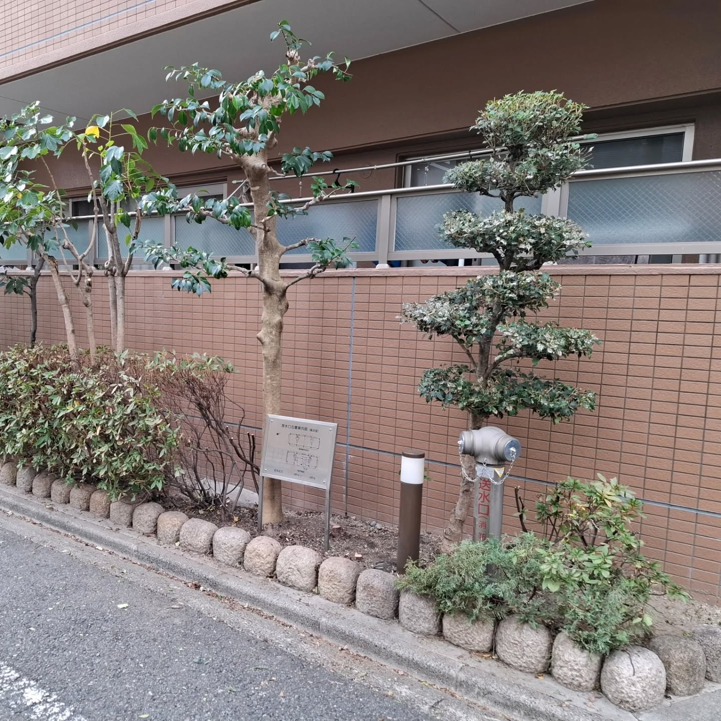 剪定（マンション）