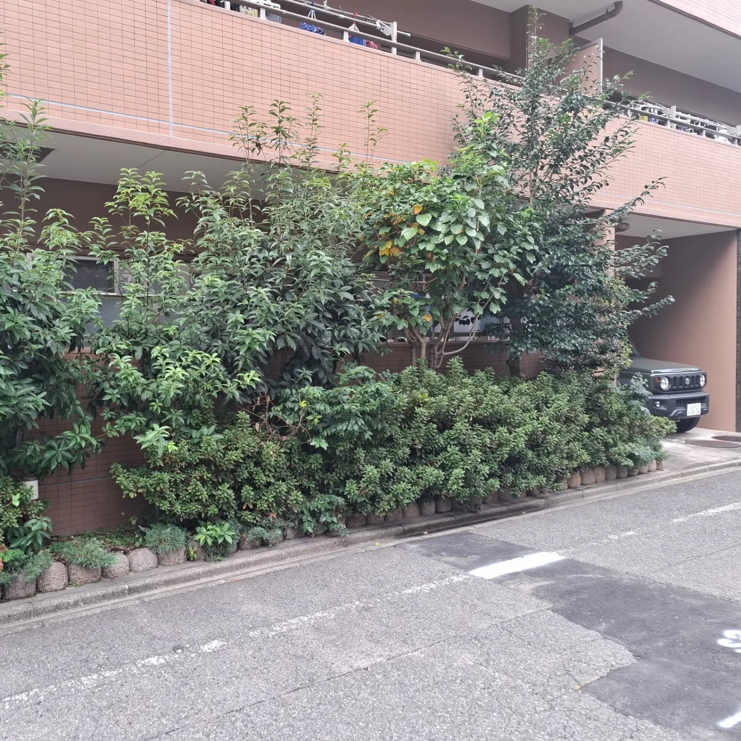 剪定(マンション)