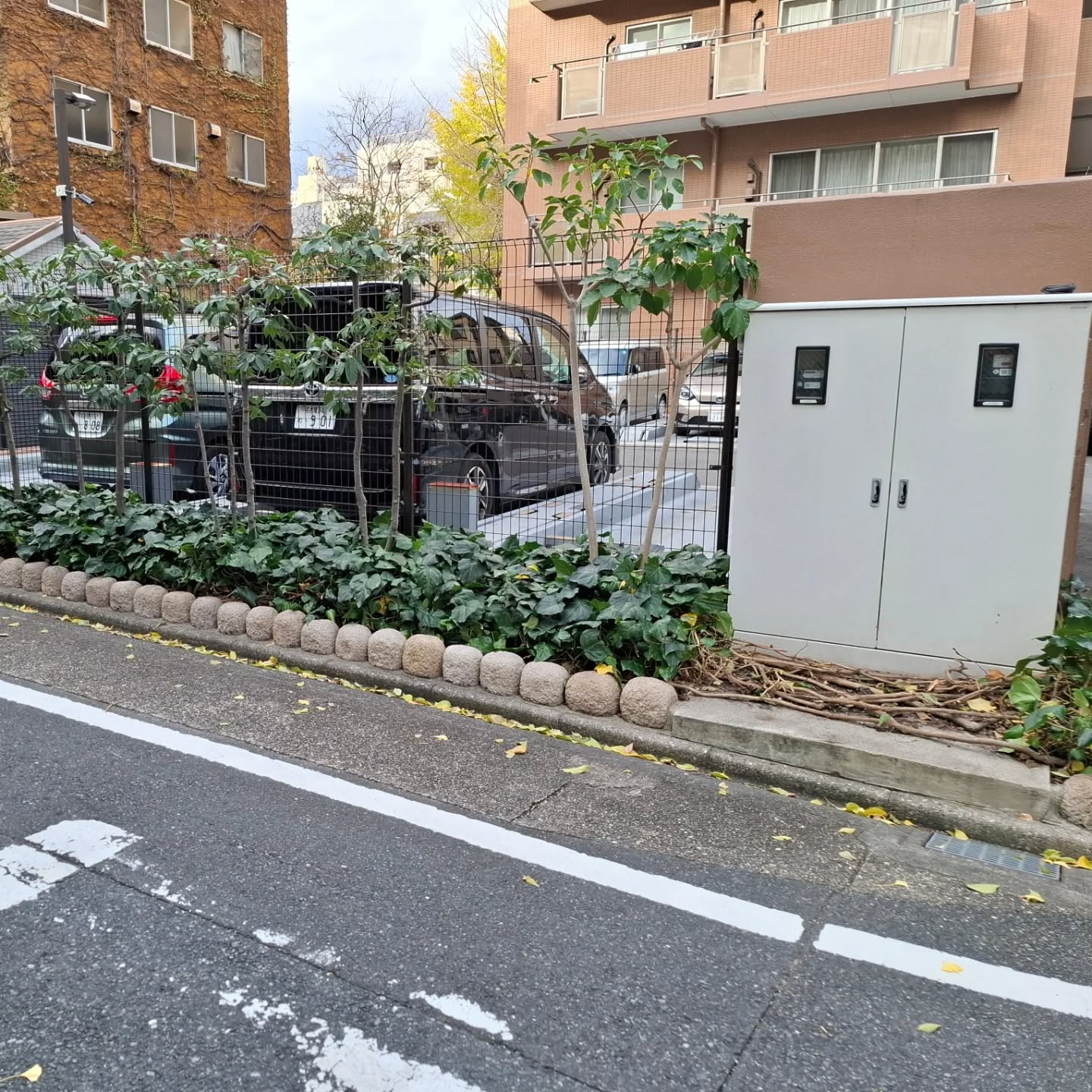 剪定(マンション)