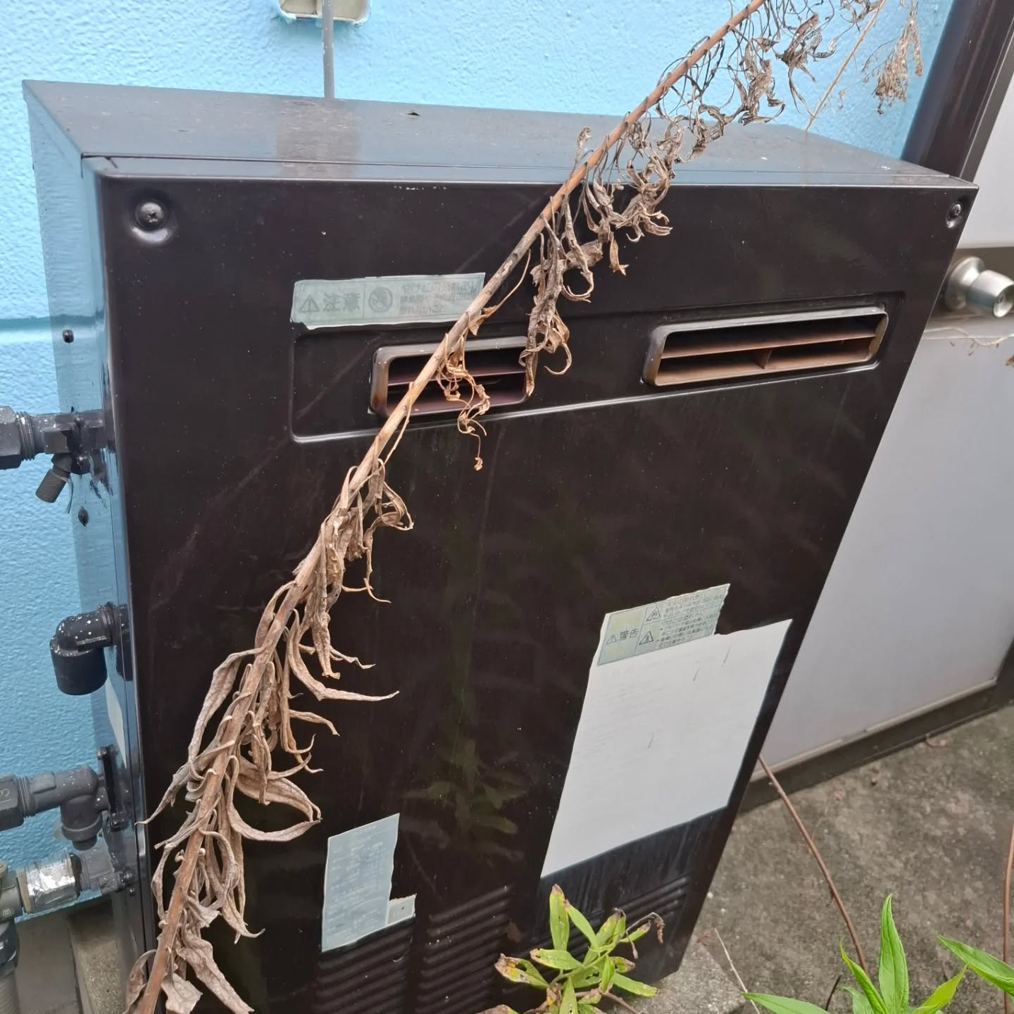 給湯器交換(据え置き)