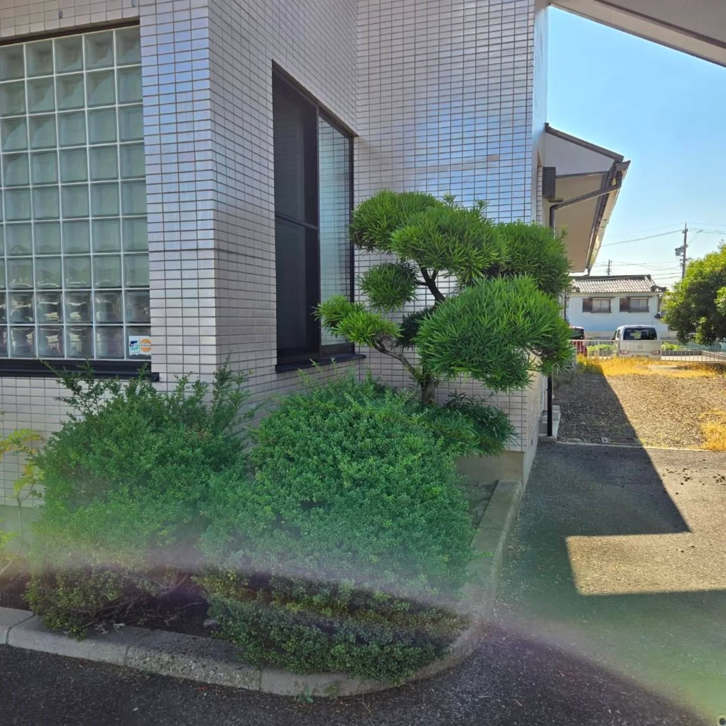 剪定（年間管理）