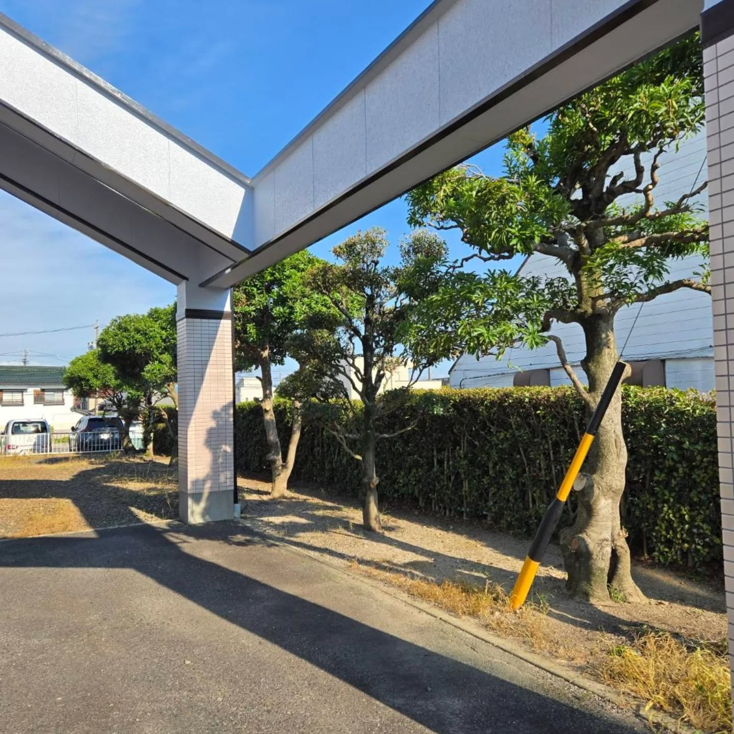 剪定（年間管理）