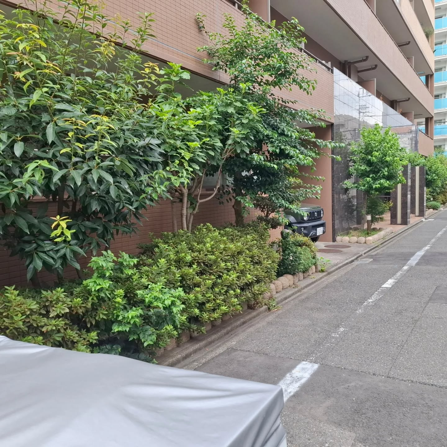 剪定マンション年間管理