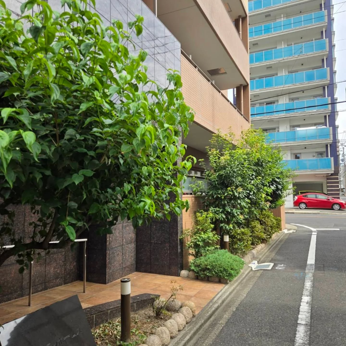 剪定マンション年間管理