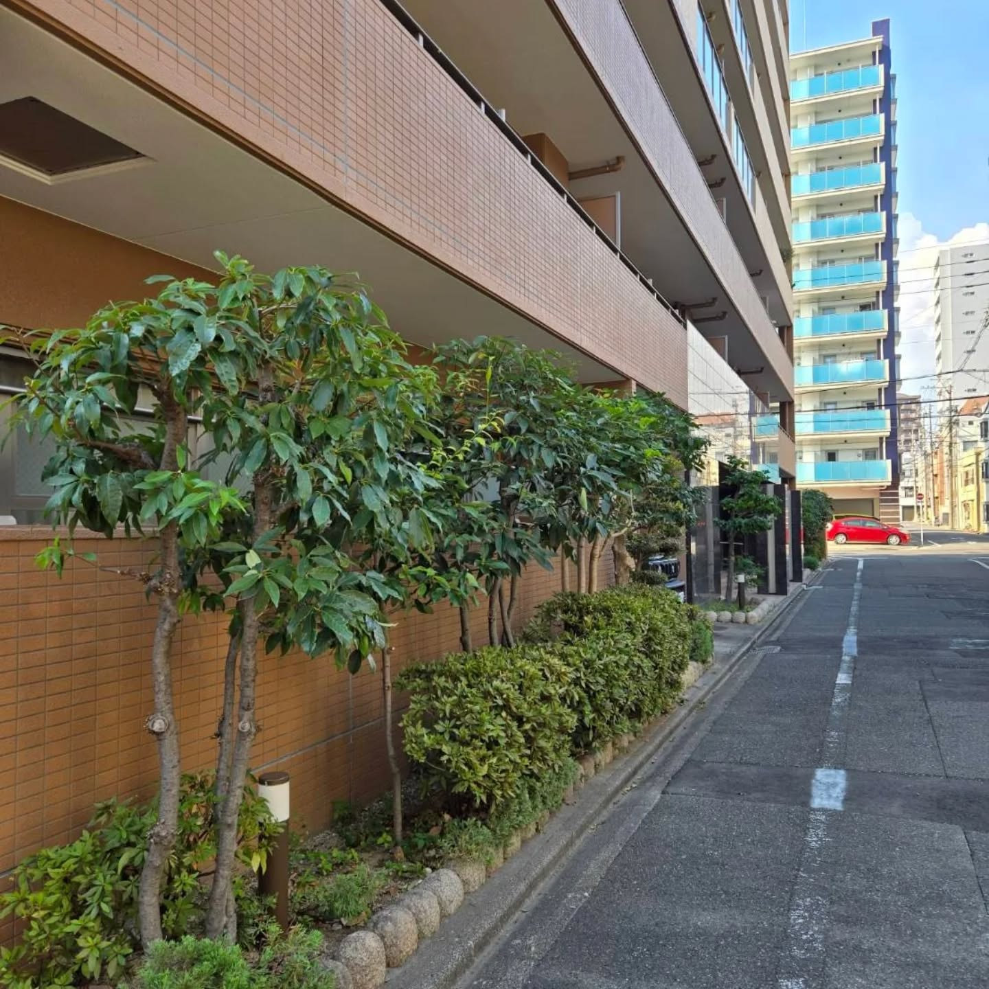 剪定マンション年間管理