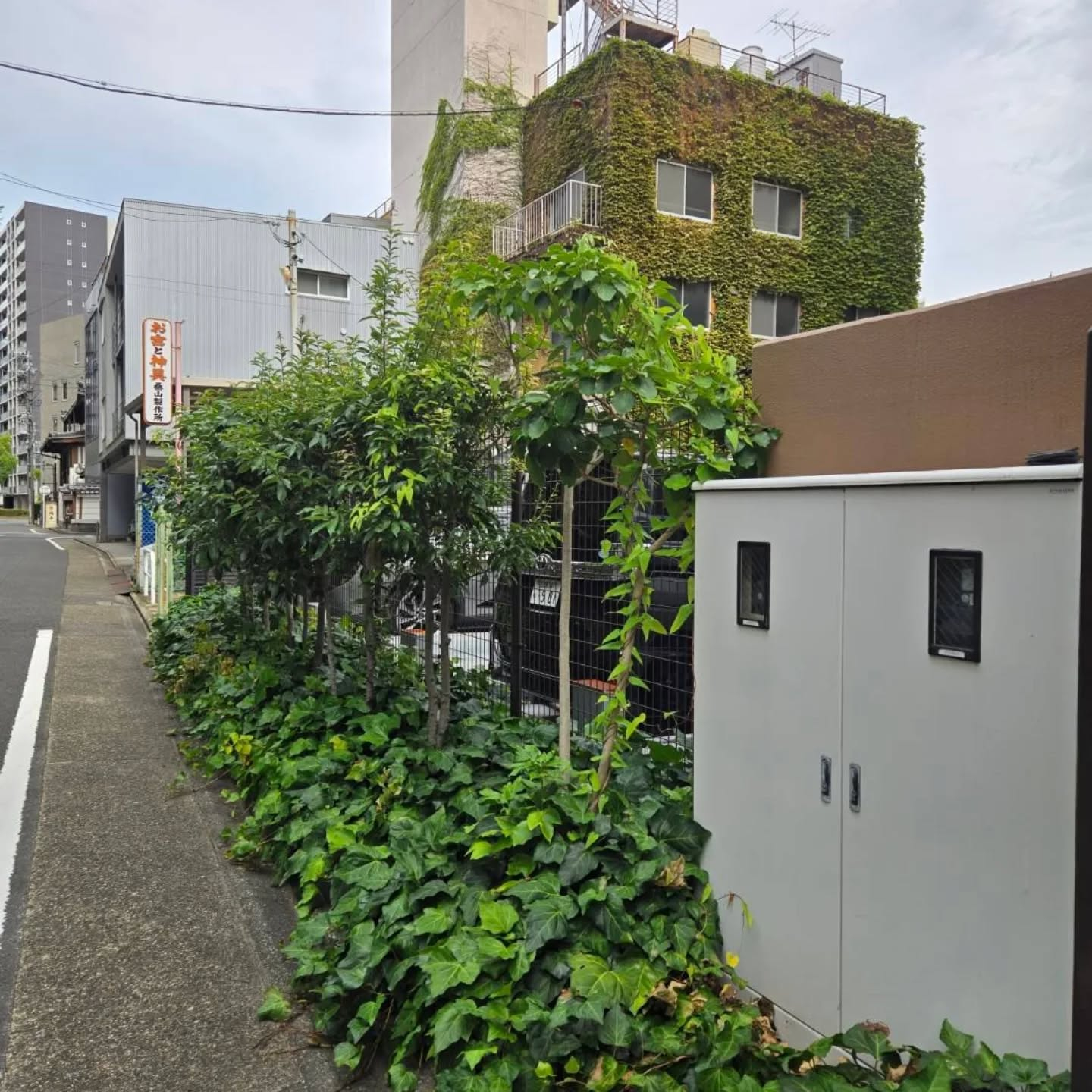 剪定マンション年間管理