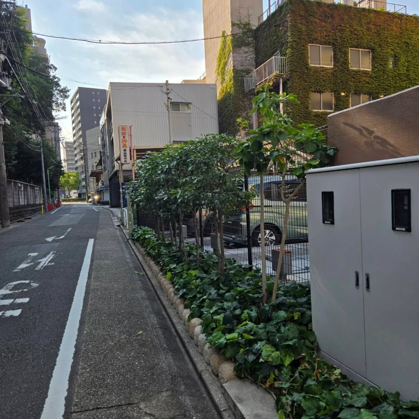 剪定マンション年間管理