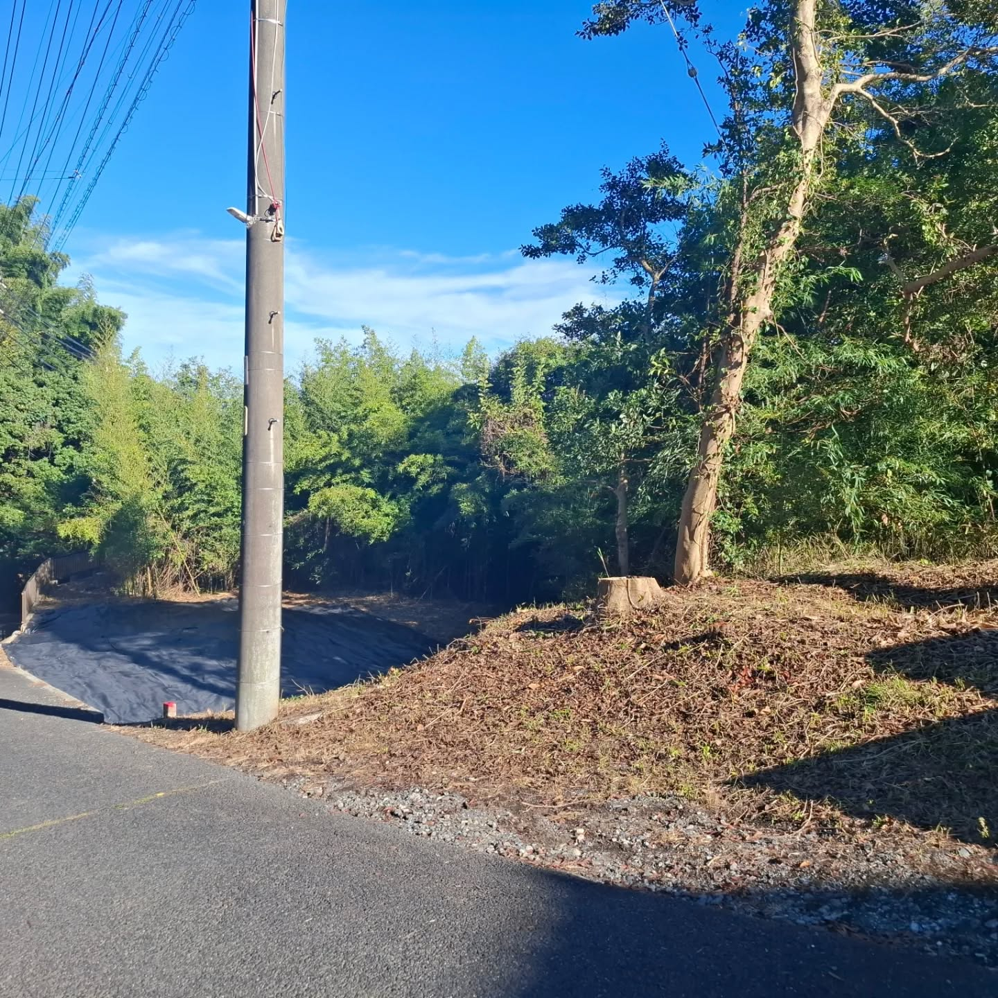 伐採/草刈り/防草シート