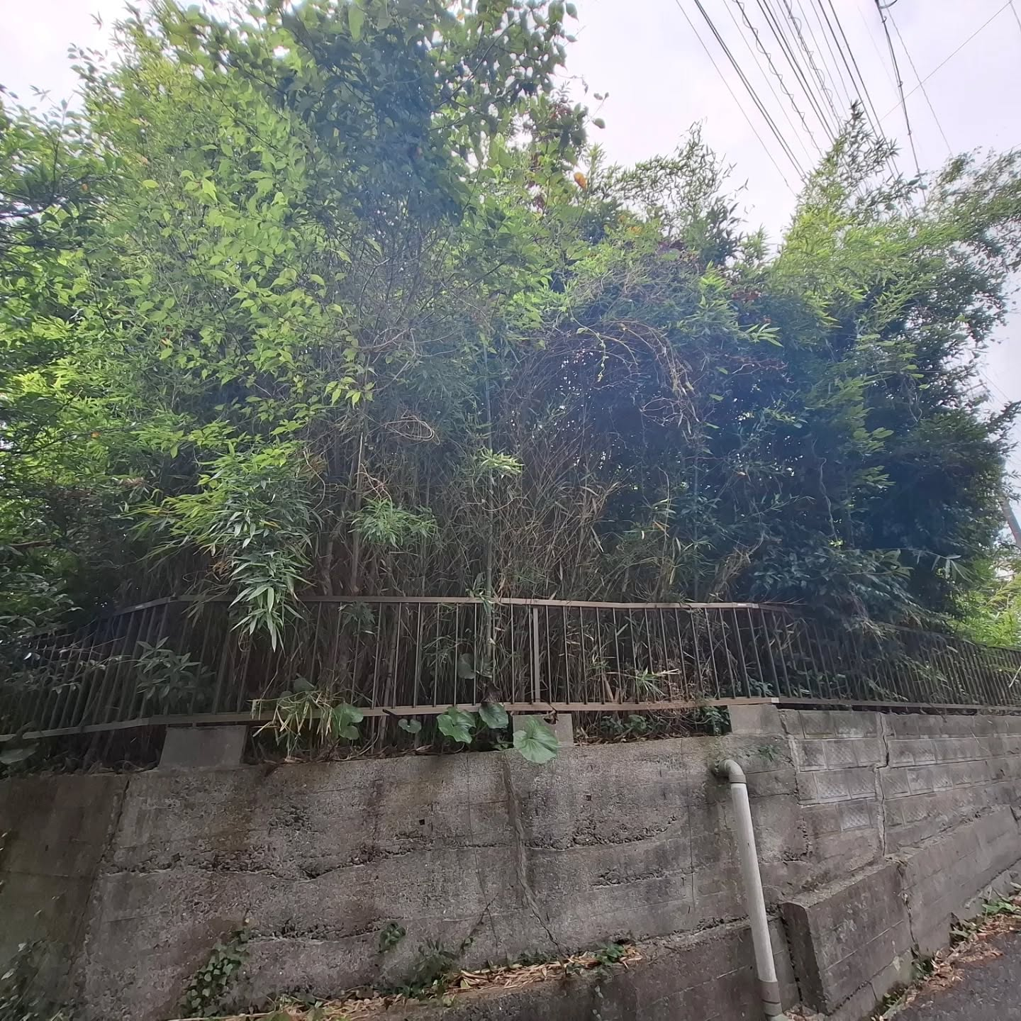 伐採/草刈り/防草シート