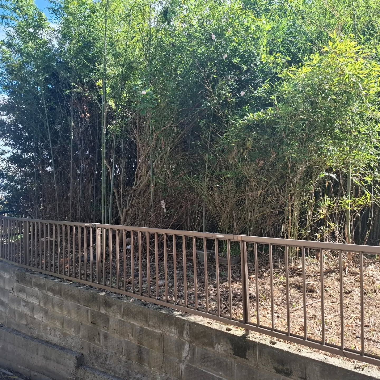 伐採/草刈り/防草シート