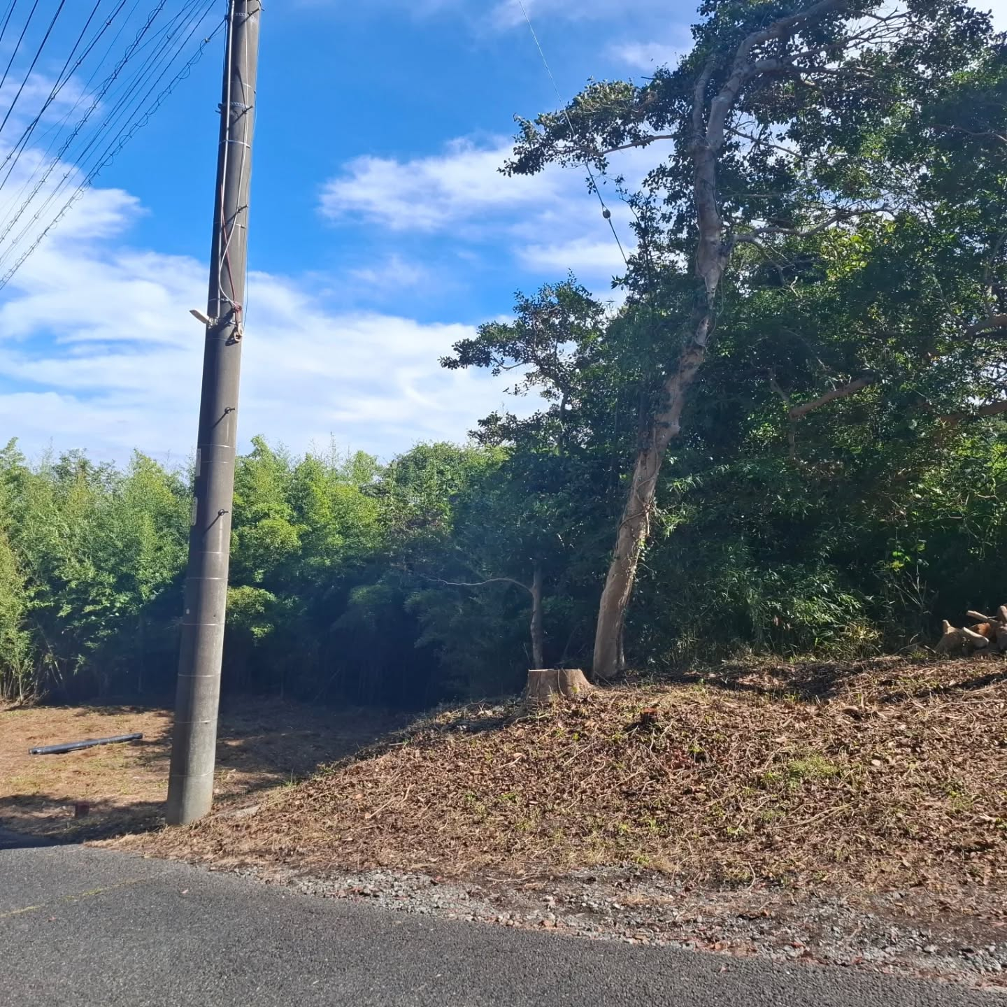 伐採/草刈り/防草シート