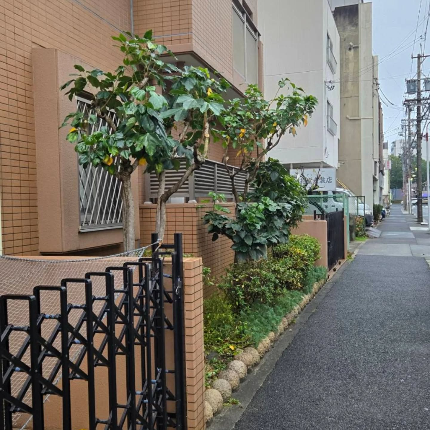 マンション剪定工事