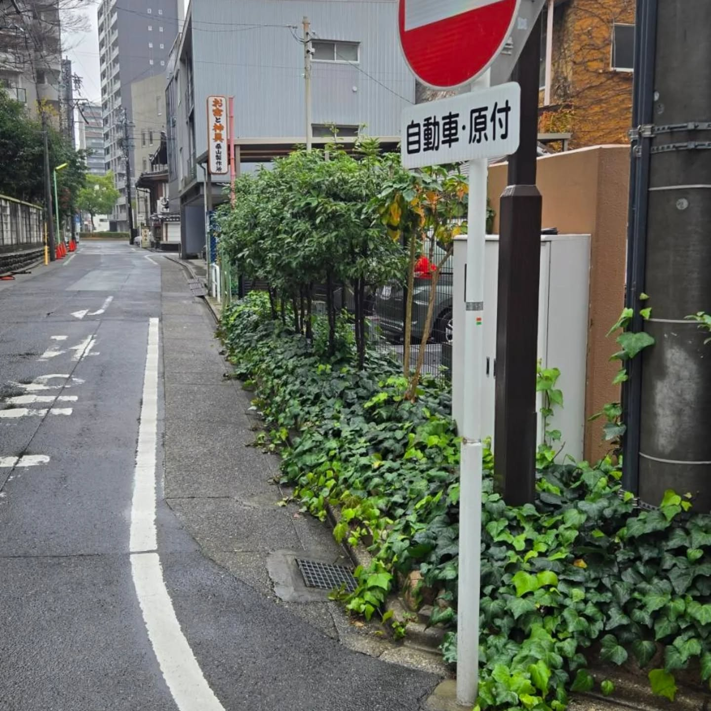 マンション剪定工事