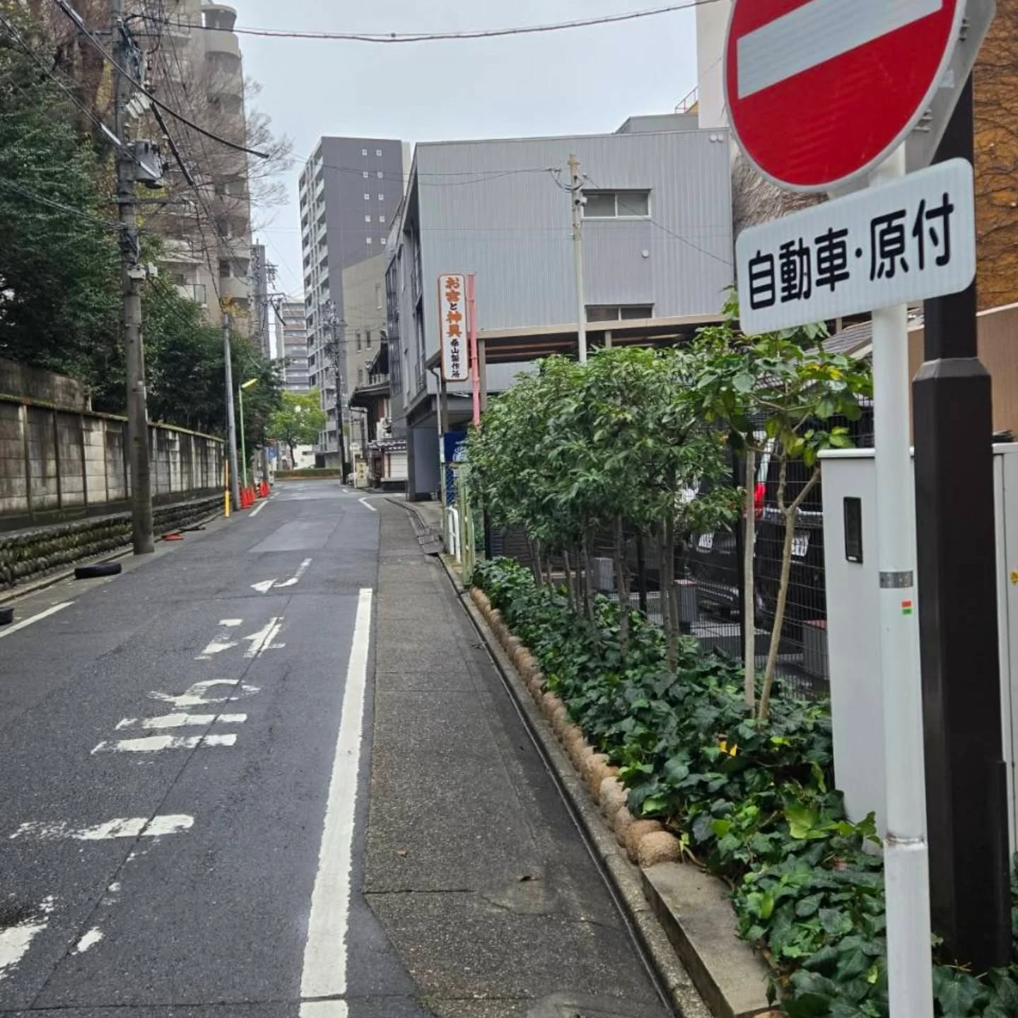 マンション剪定工事