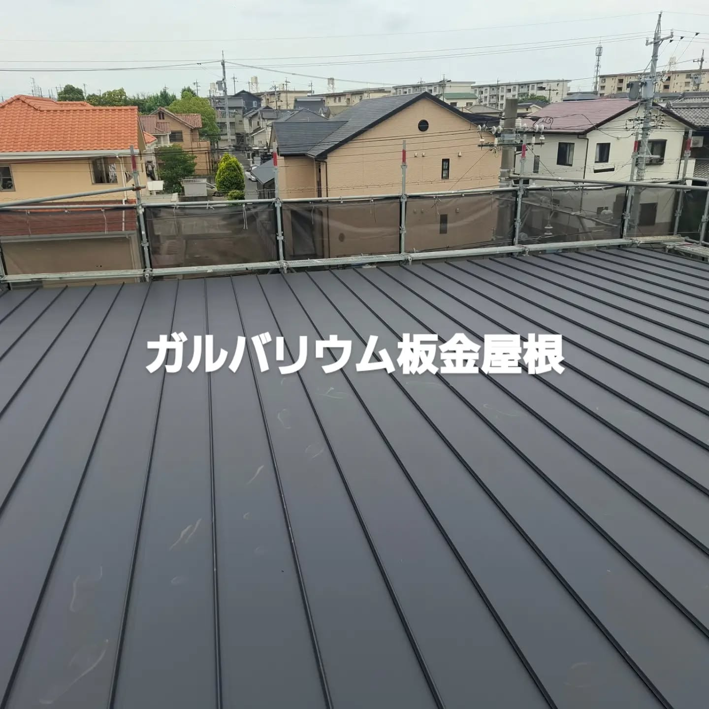 20260709001318_0_9.jpg